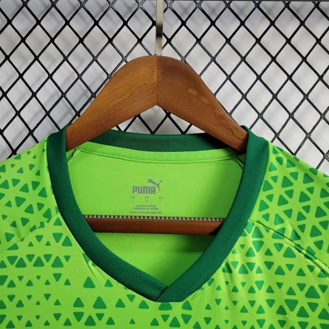 24-25 Palmeiras Training Shirt 4