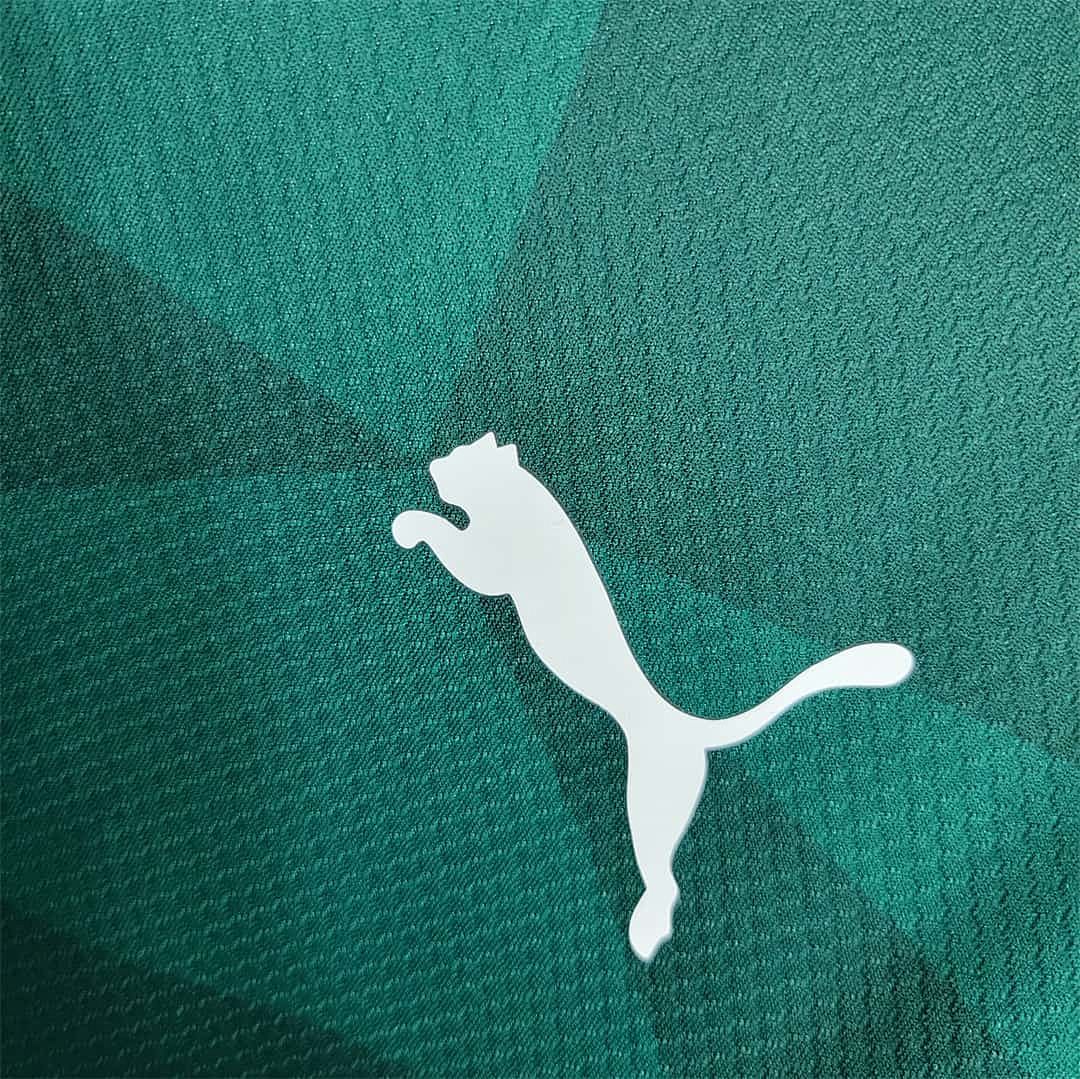 23-24 Palmeiras home long-sleeved 3