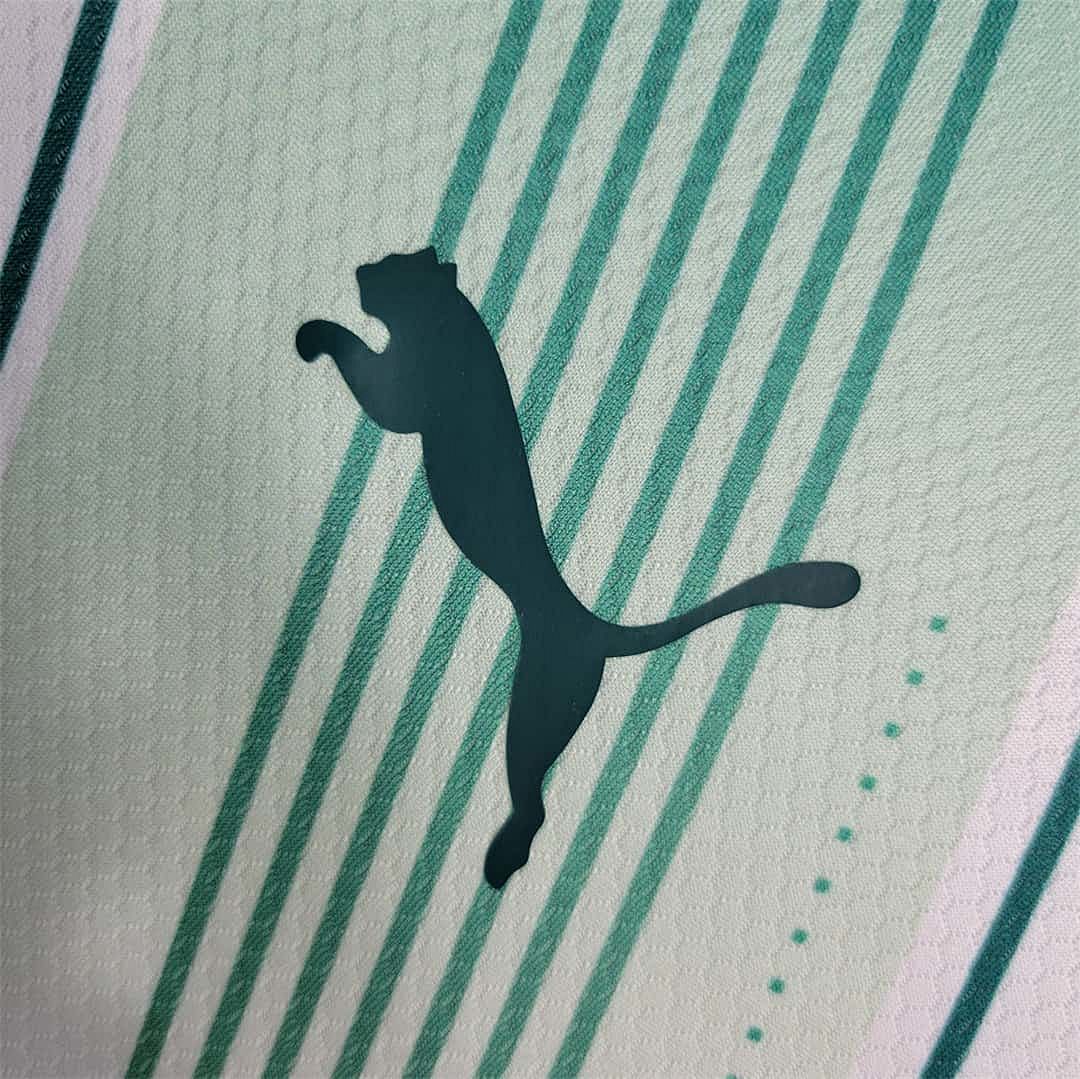 23-24 Palmeiras away long-sleeved 8
