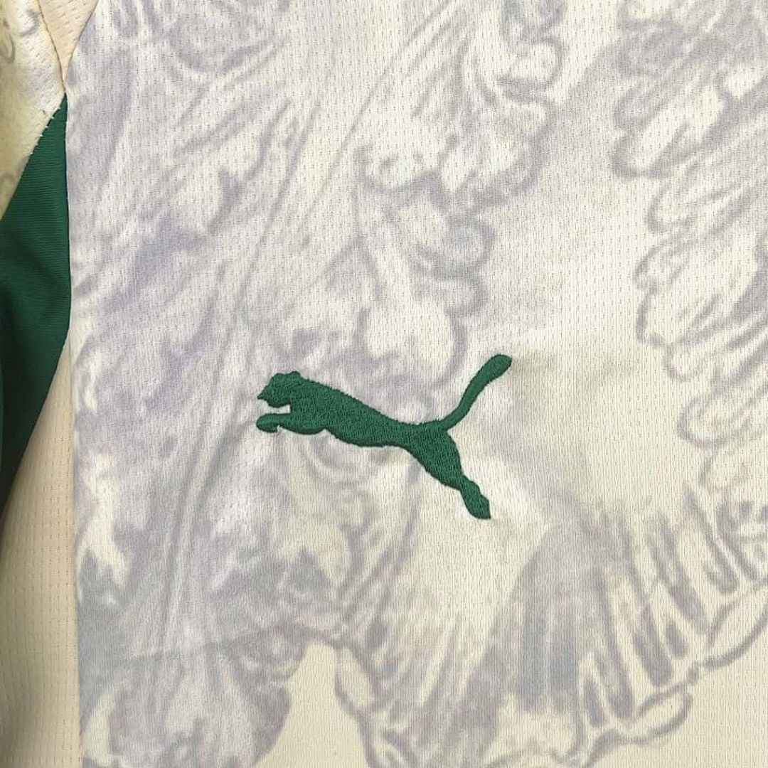 25-26 Palmeiras Special Edition Kit S-4XL Cheap Football Jersey Wholesale Yupoo 2