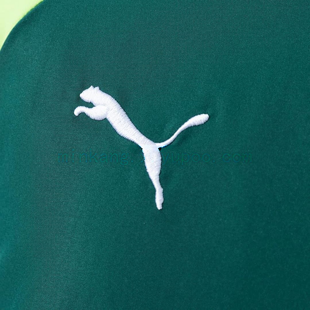 Palmeiras Windbreaker - Green S-XXL 6
