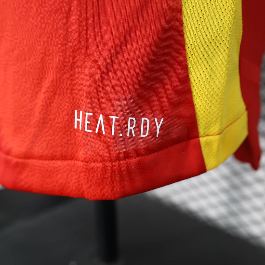 2024 player Spain Home S-3XL 5