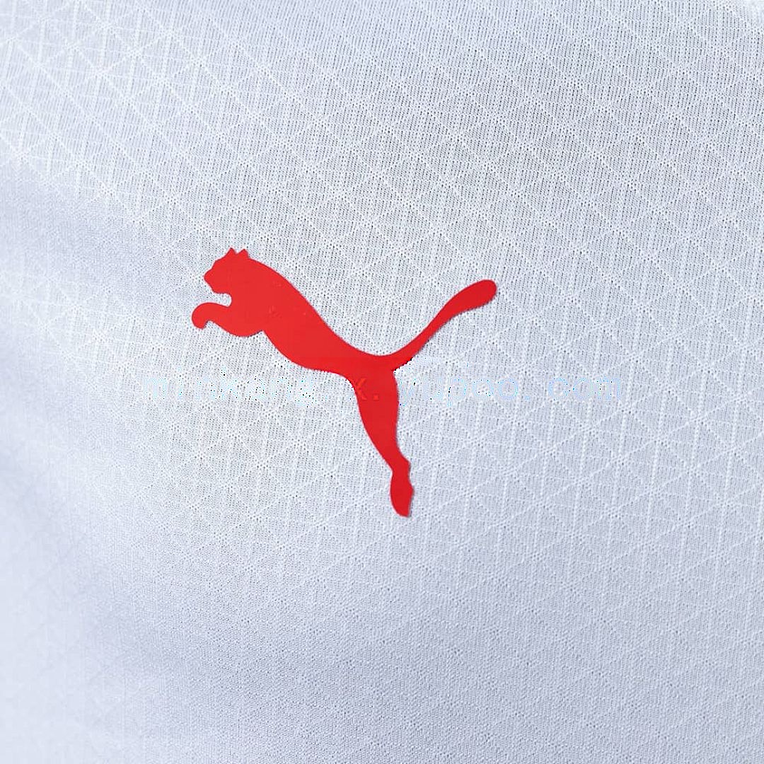 2025 Player Morocco Away S-XXL 4