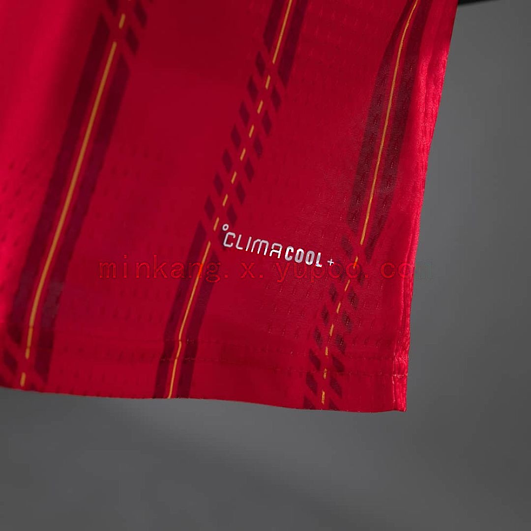 Spain 2026 local versión jugador camiseta S-4XL 4