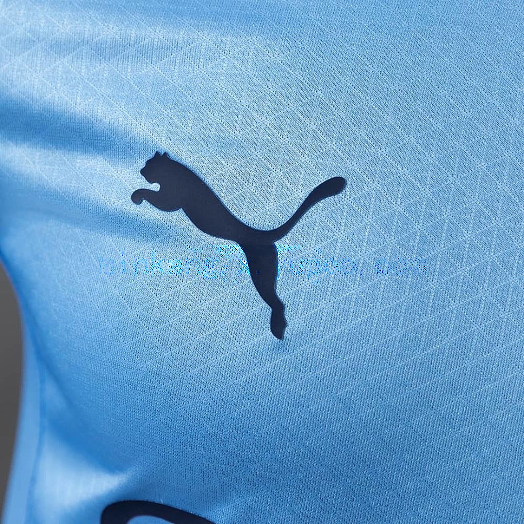 Manchester City 25_26 Home Long-Sleeve Player Version Jerseys S-3XL 8