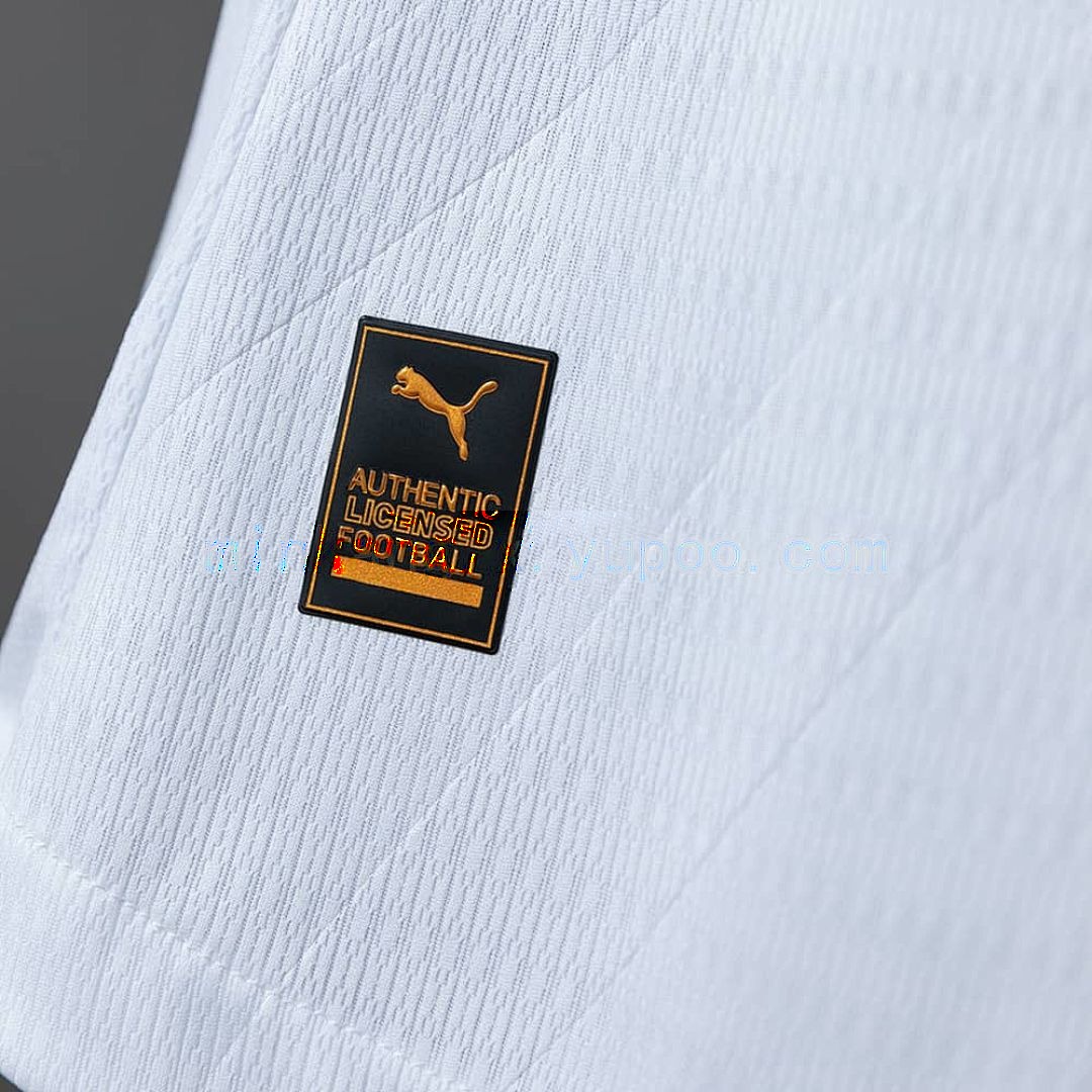 Fluminense 26_27 Away Player Version Jersey S-3XL 3