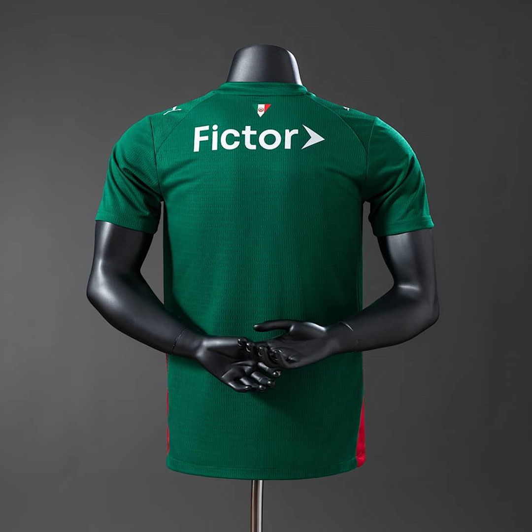 Palmeiras 26_27 Player Version Home Jersey S-4XL 2