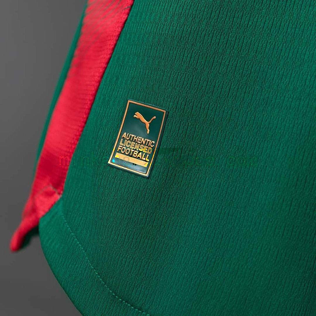 Palmeiras 26_27 Player Version Home Jersey S-4XL 3