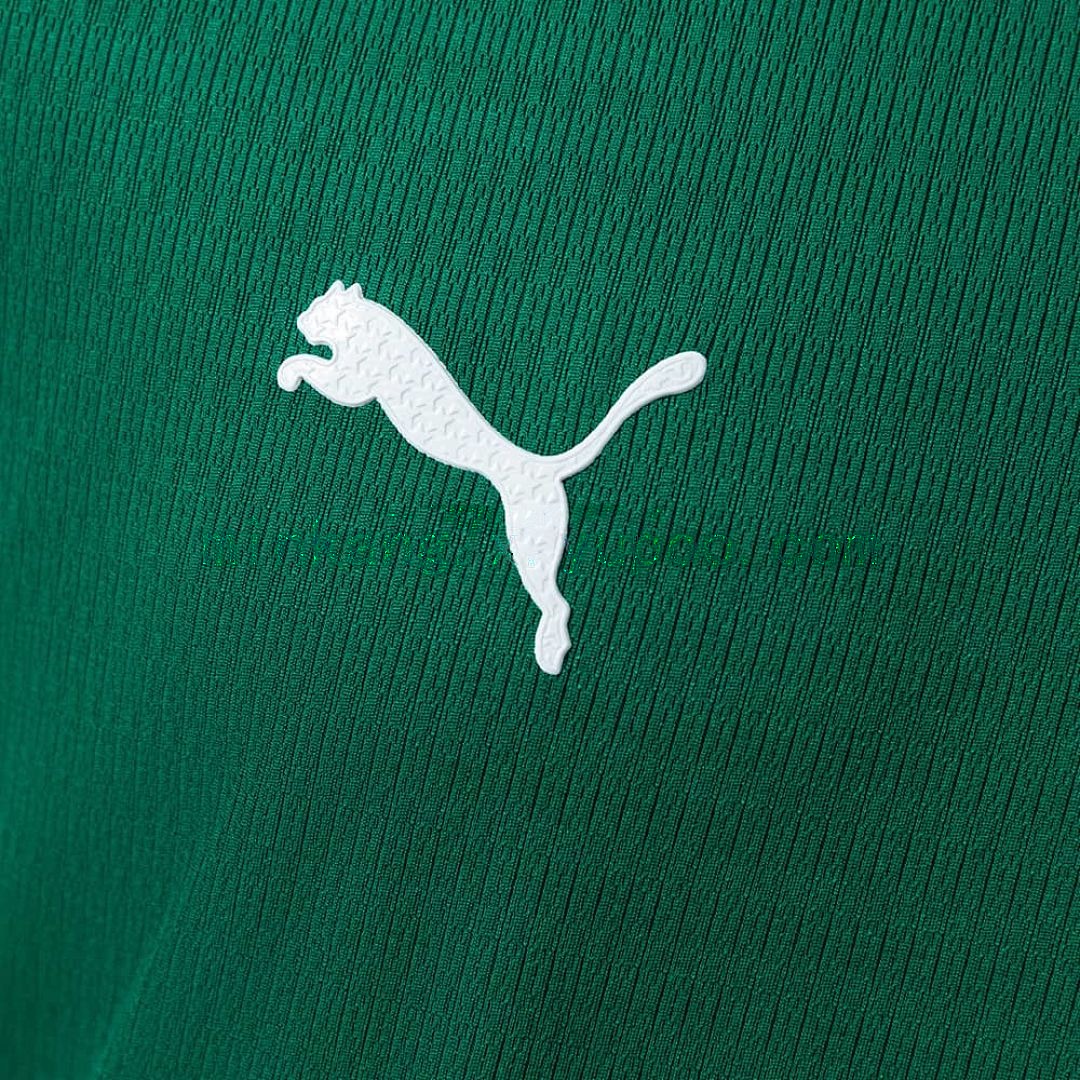 Palmeiras 26_27 Player Version Home Jersey S-4XL 7