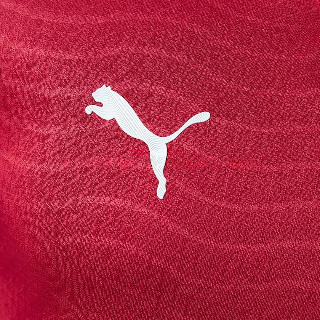 Portugal 2026 Home Player Version Long-Sleeve Jersey S-4XL 7