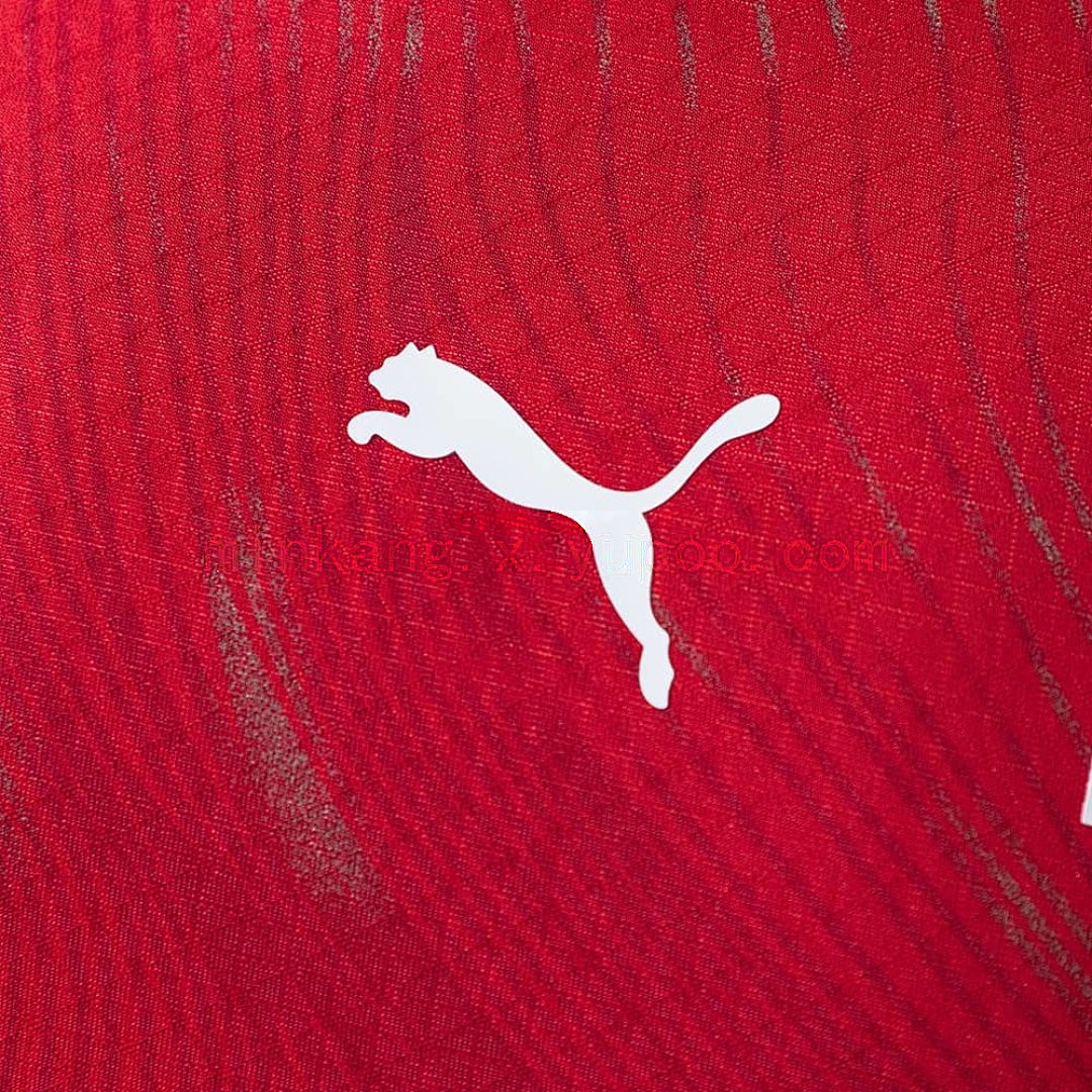 Switzerland 2026 local versión jugador camiseta S-XXL 9