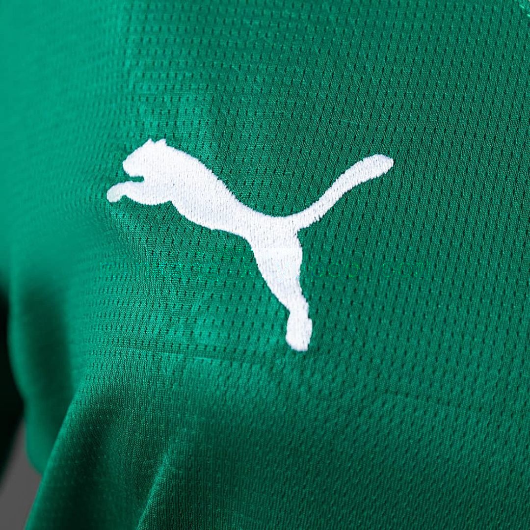 Palmeiras 25_26 Women Home Jersey S-XXL 3