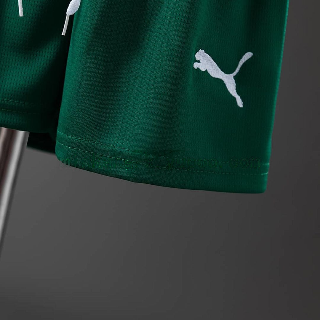 25_26 kids Palmeiras away size_ 16-28 2