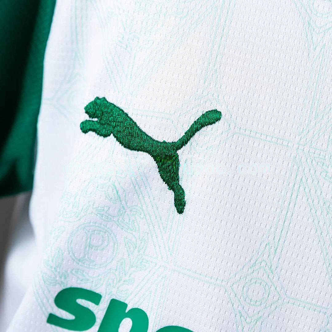 25_26 kids Palmeiras away size_ 16-28 5