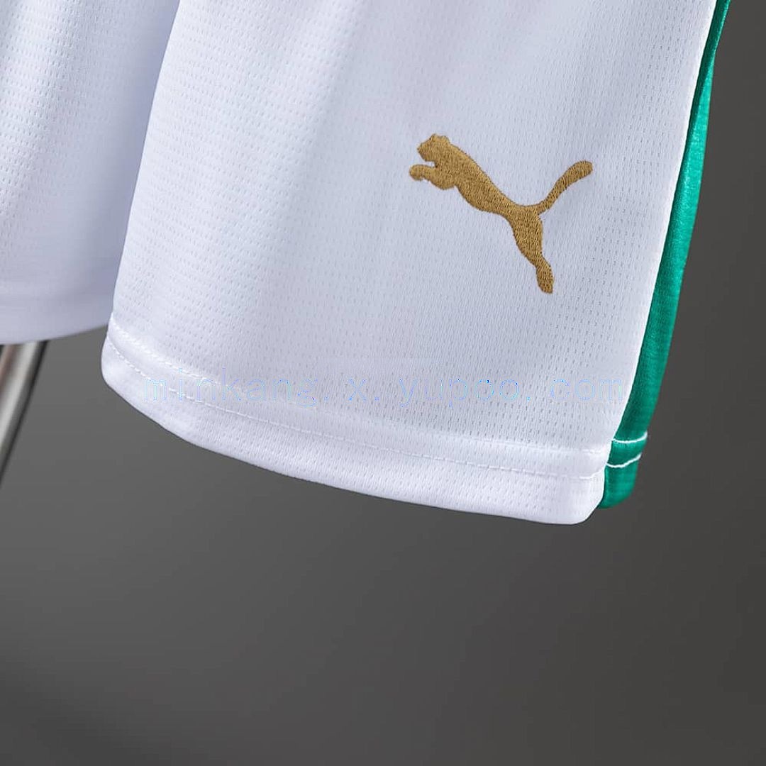 Palmeiras 25_26 Home kids kit Jersey SIZE 16-28 2