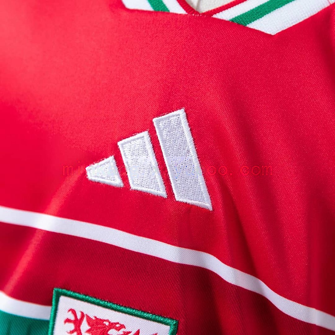 Wales 2026 Home Kids Kit Jersey Size 16-28 5