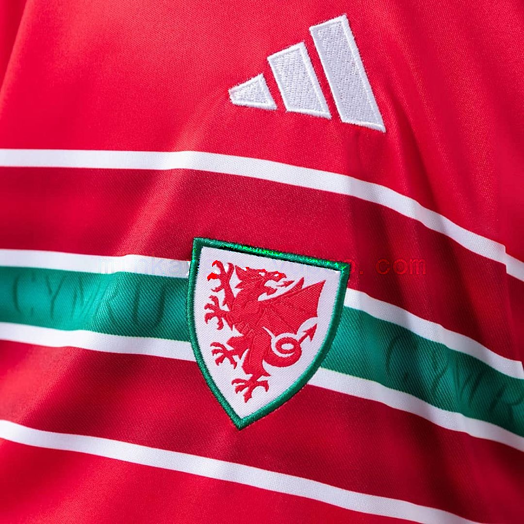Wales 2026 Home Kids Kit Jersey Size 16-28 6