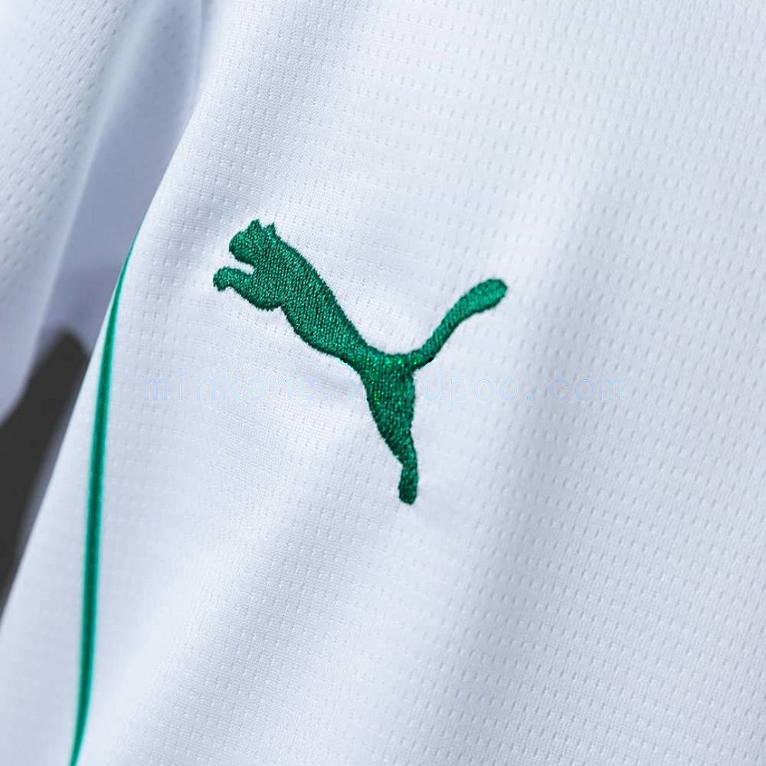 Palmeiras 26_27 Away kids kit Jersey SIZE 16-28 6