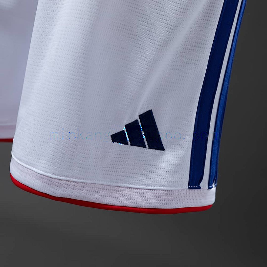 Japan 2026 local pantalones cortos S-XXL 3