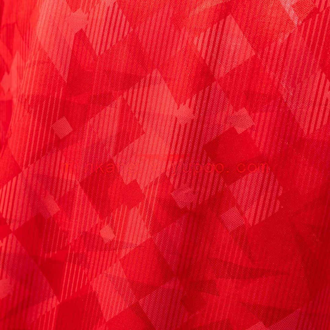 Wales 1990_92 Home Retro Jersey S-XXL 3