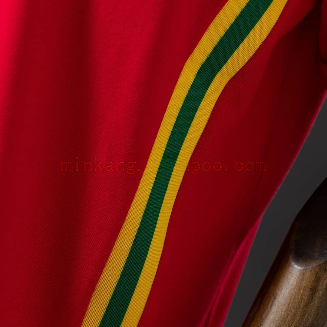 Wales 1976_79 Home Retro Jersey S-XXL 3