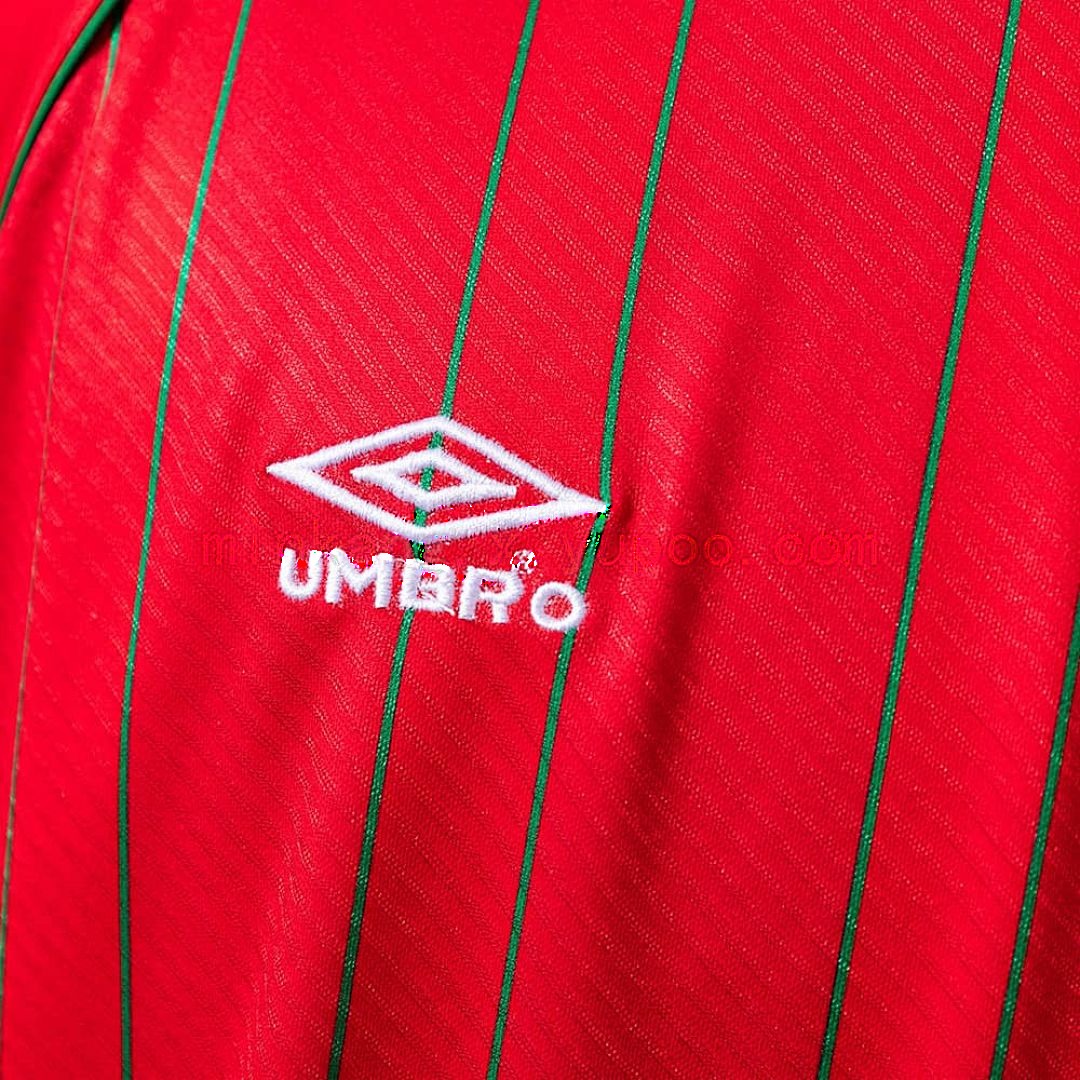Wales 1994_96 Home Retro Jersey S-XXL 3
