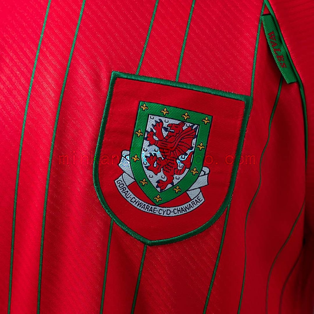 Wales 1994_96 Home Retro Jersey S-XXL 4