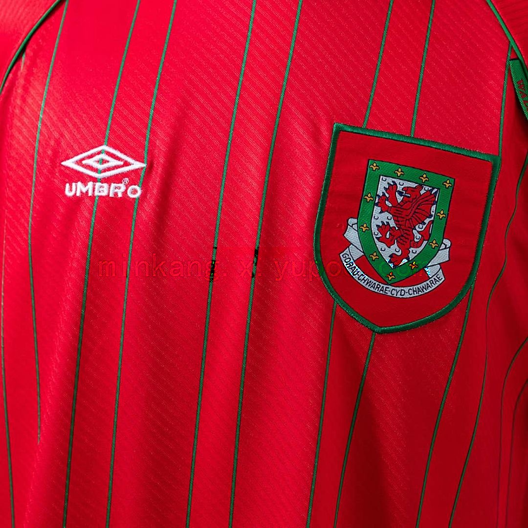 Wales 1994_96 Home Retro Jersey S-XXL 5