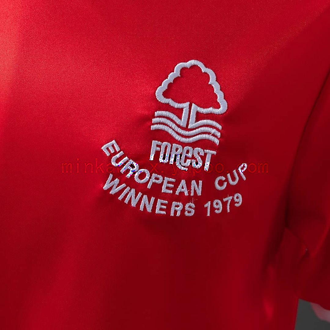 Nottingham Forest 77_80 local retro camiseta S-XXL 5