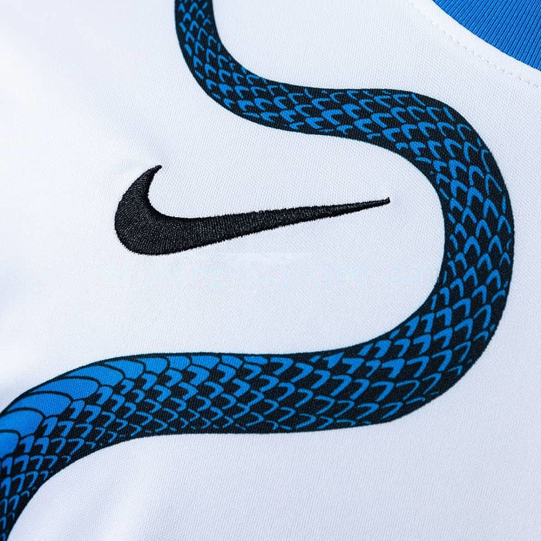 Inter Milan 21_22 Away Retro Jersey S-XXL 6