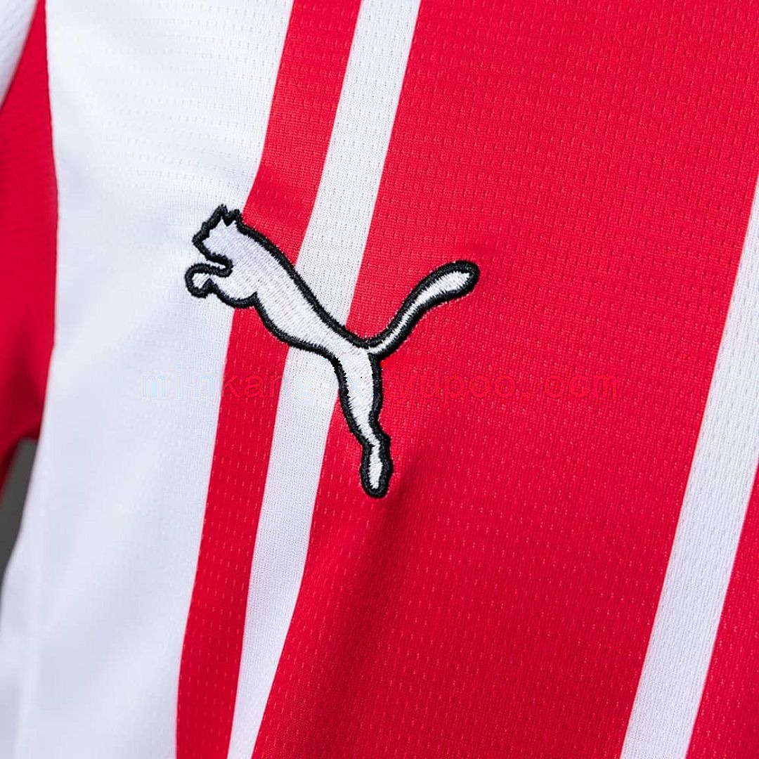 Southampton 25_26 Home Jersey S-XXL 5
