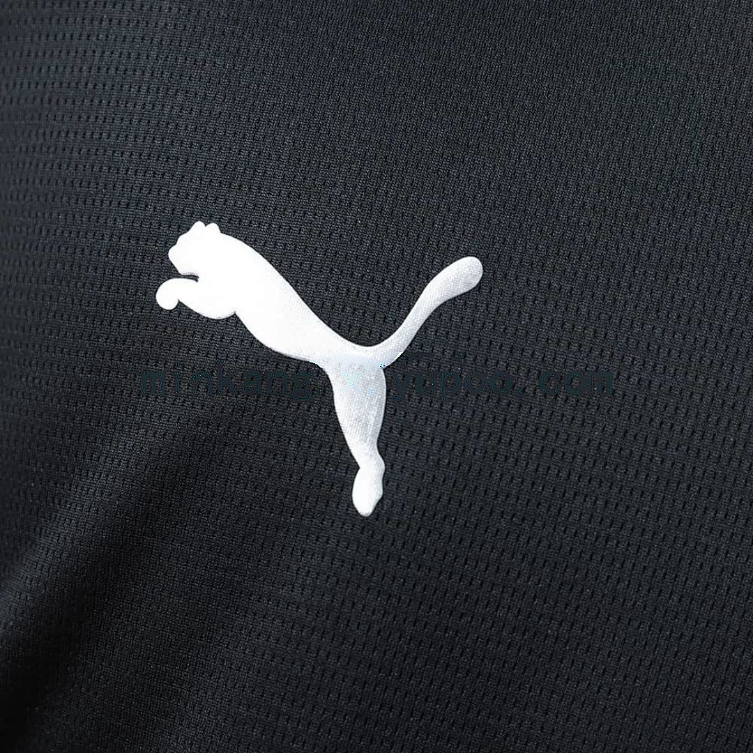 Manchester City 25_26 Away Long Sleeve Jersey S-4XL 4