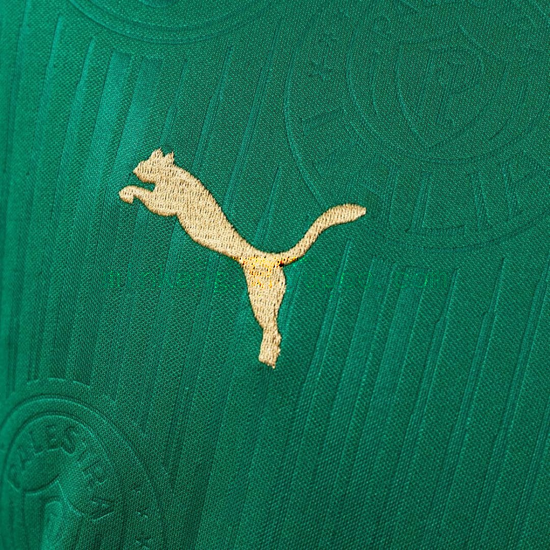 2024_25 Palmeiras home+All sponsors 4