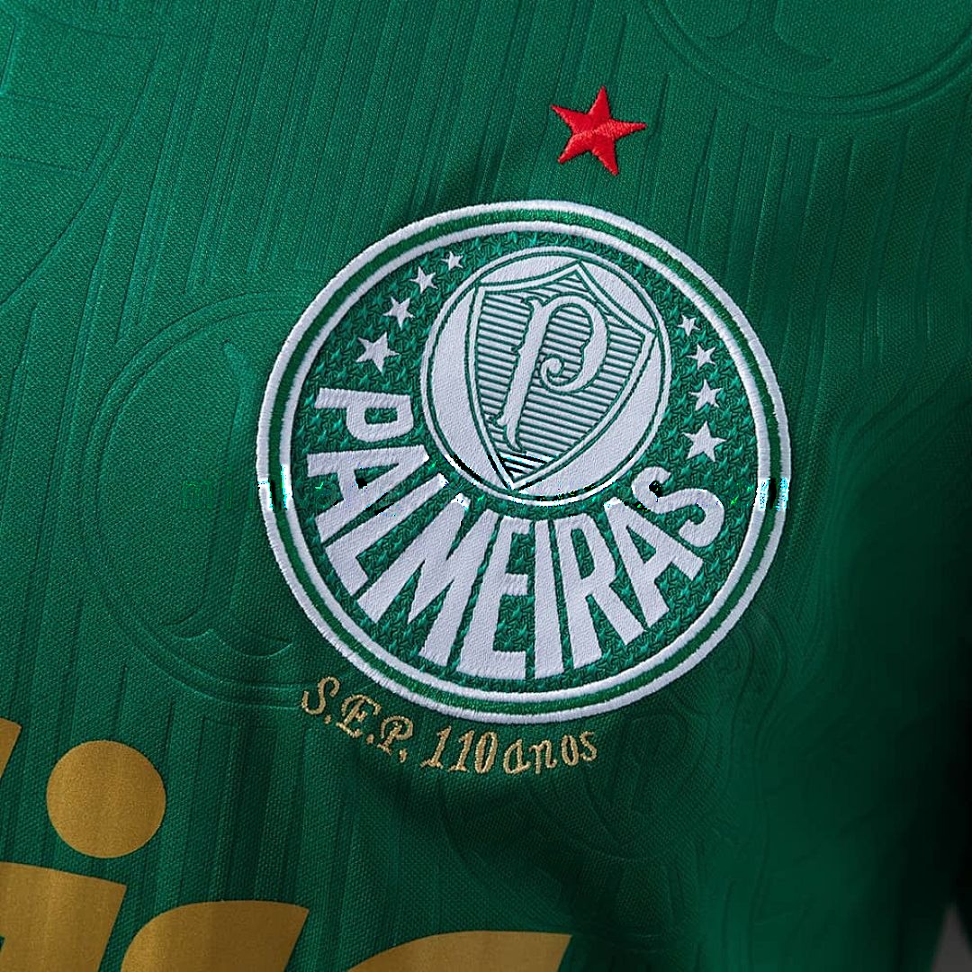 2024_25 Palmeiras home+All sponsors 5