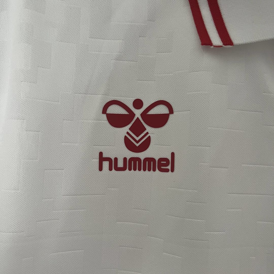 2024 Denmark Away S-XXL 3