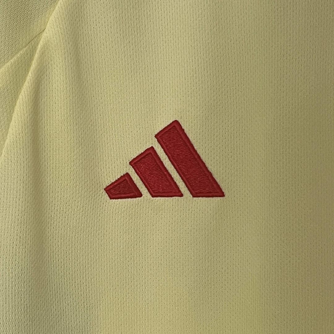 2024 Wales Away S-XXL 5
