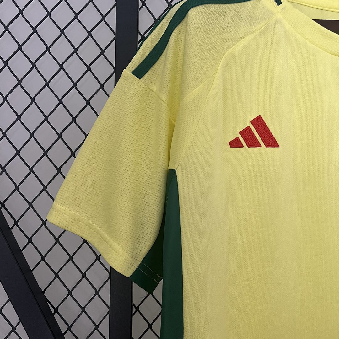 2024 Wales Away S-XXL 7