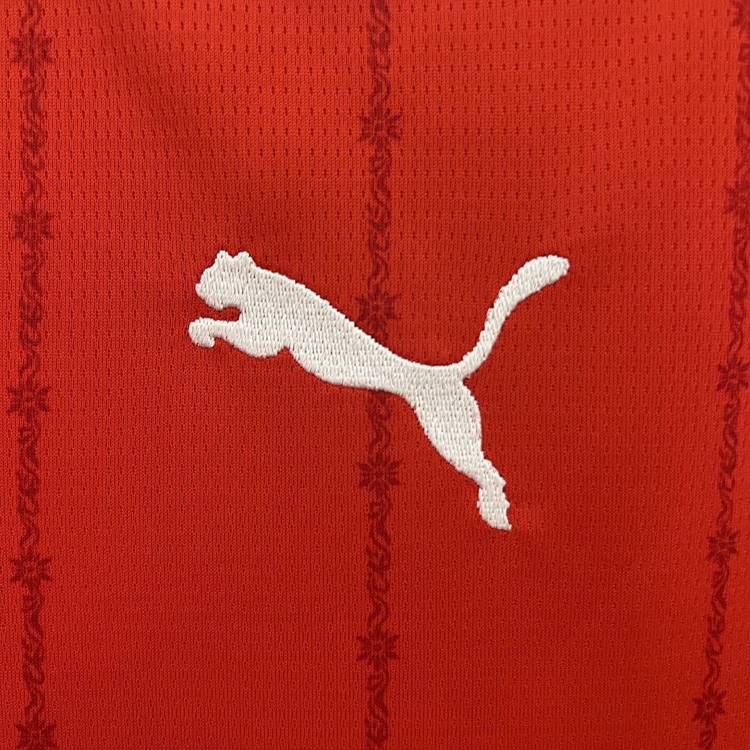 2024 Swiss Home S-4XL 10