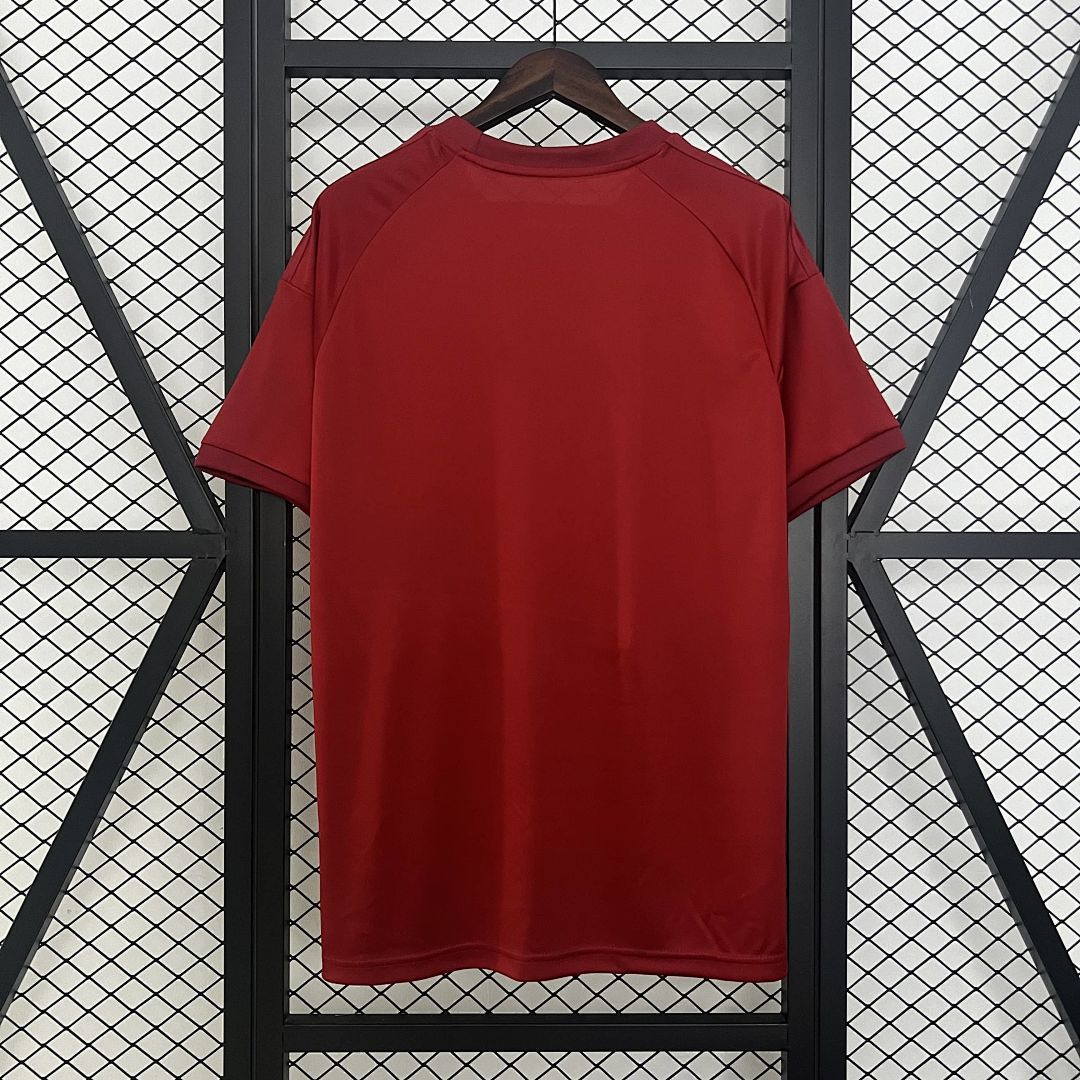 24_25 Bayern Munich Special Edition S-XXL 3