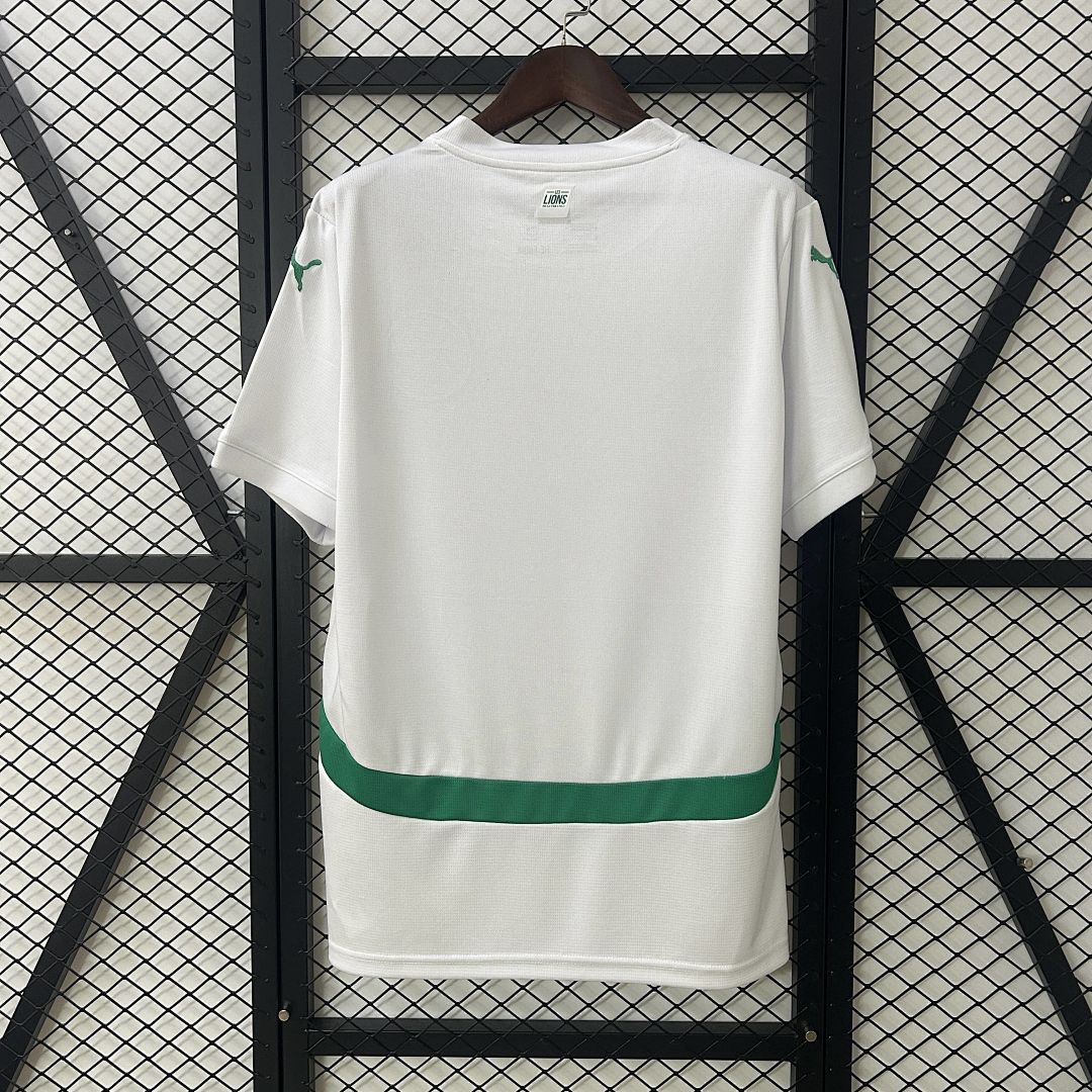 2025 Senegal home S-4XL 4