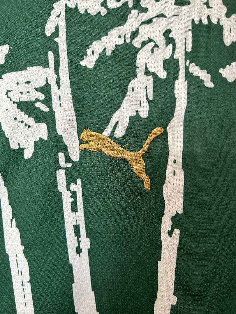 25_26 Palmeiras Special Edition S-XXL 4