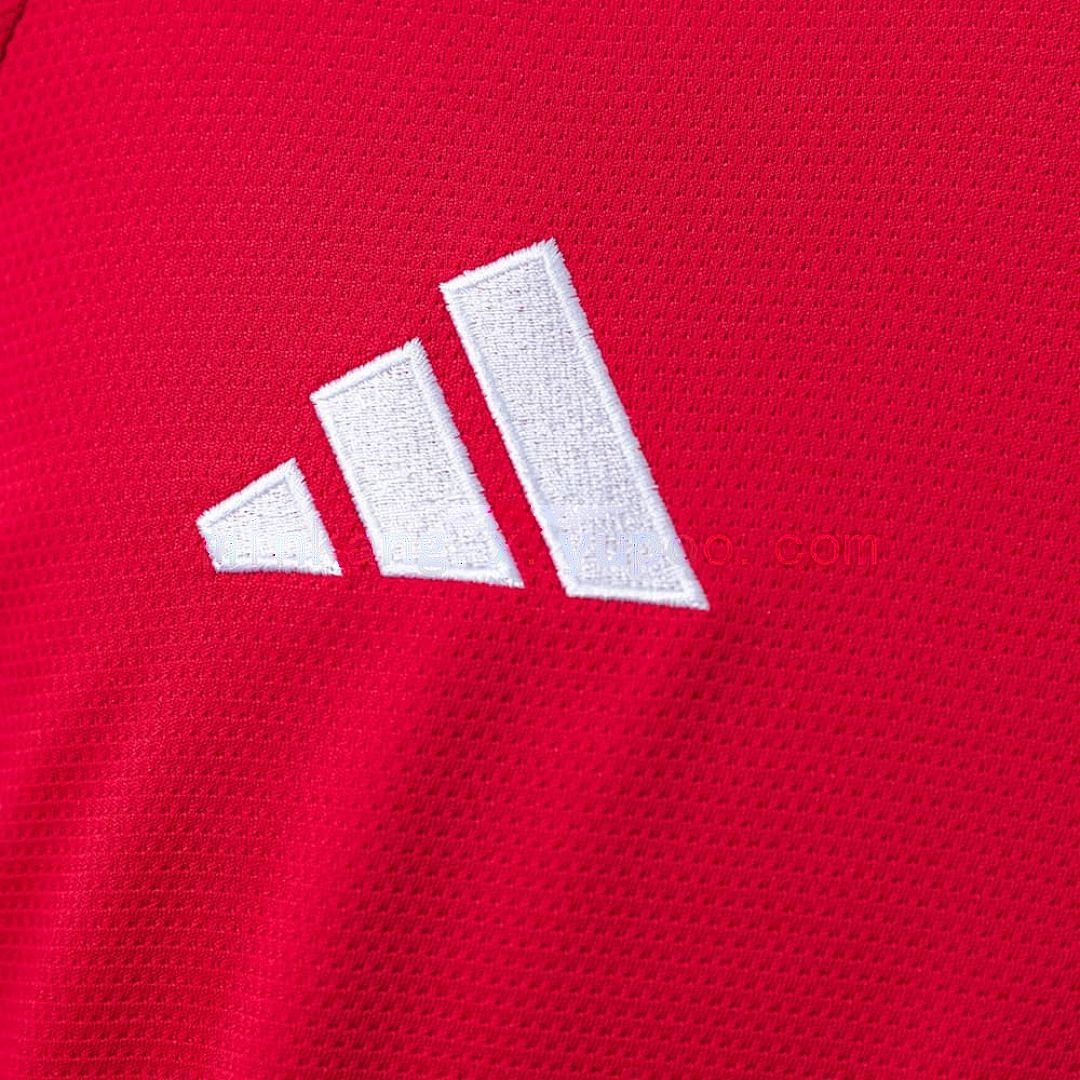 25_26 Long sleeve Brazil Internacional Home S-4XL 4