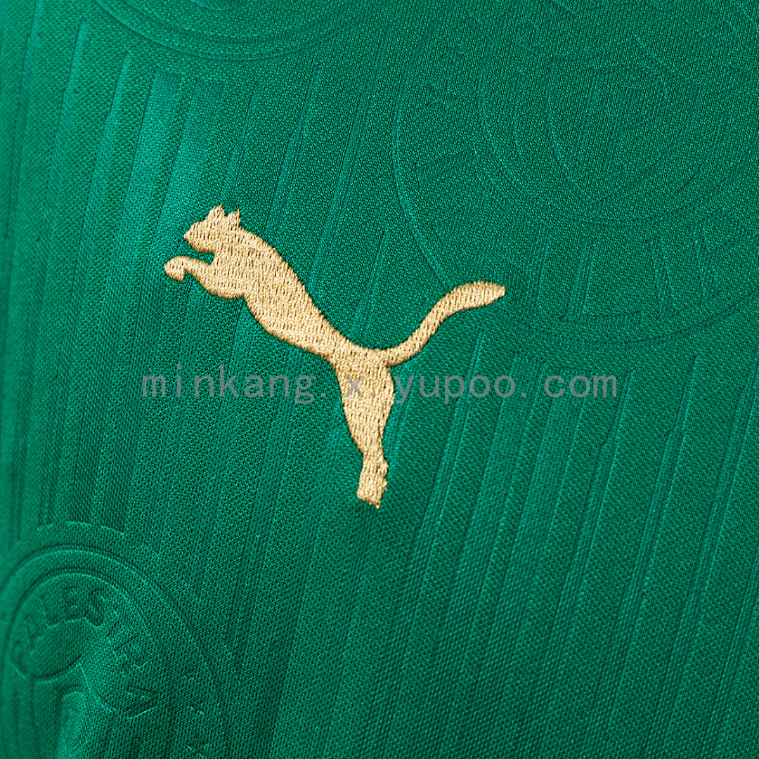 2024/25 Palmeiras home+All sponsors 4
