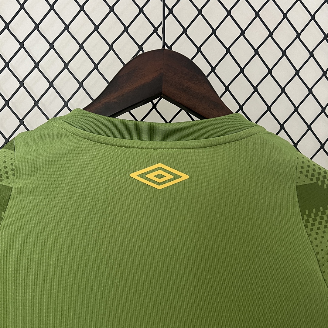 24/25 Fluminense Green S-4XL 7