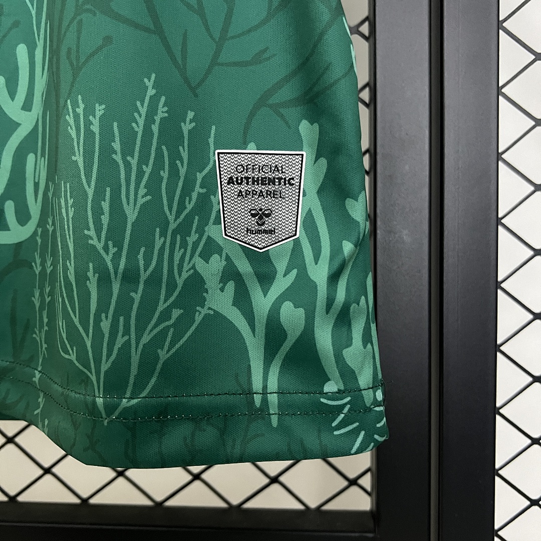 25/26 Real Betis Special Edition S-XXL 7