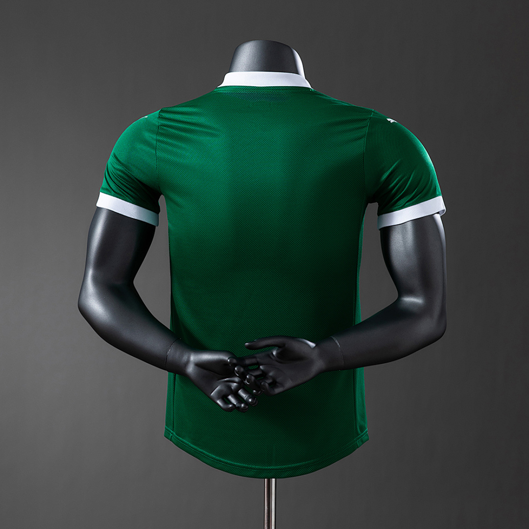 25/26 Players Palmeiras Home all sponsors S-4XL 8