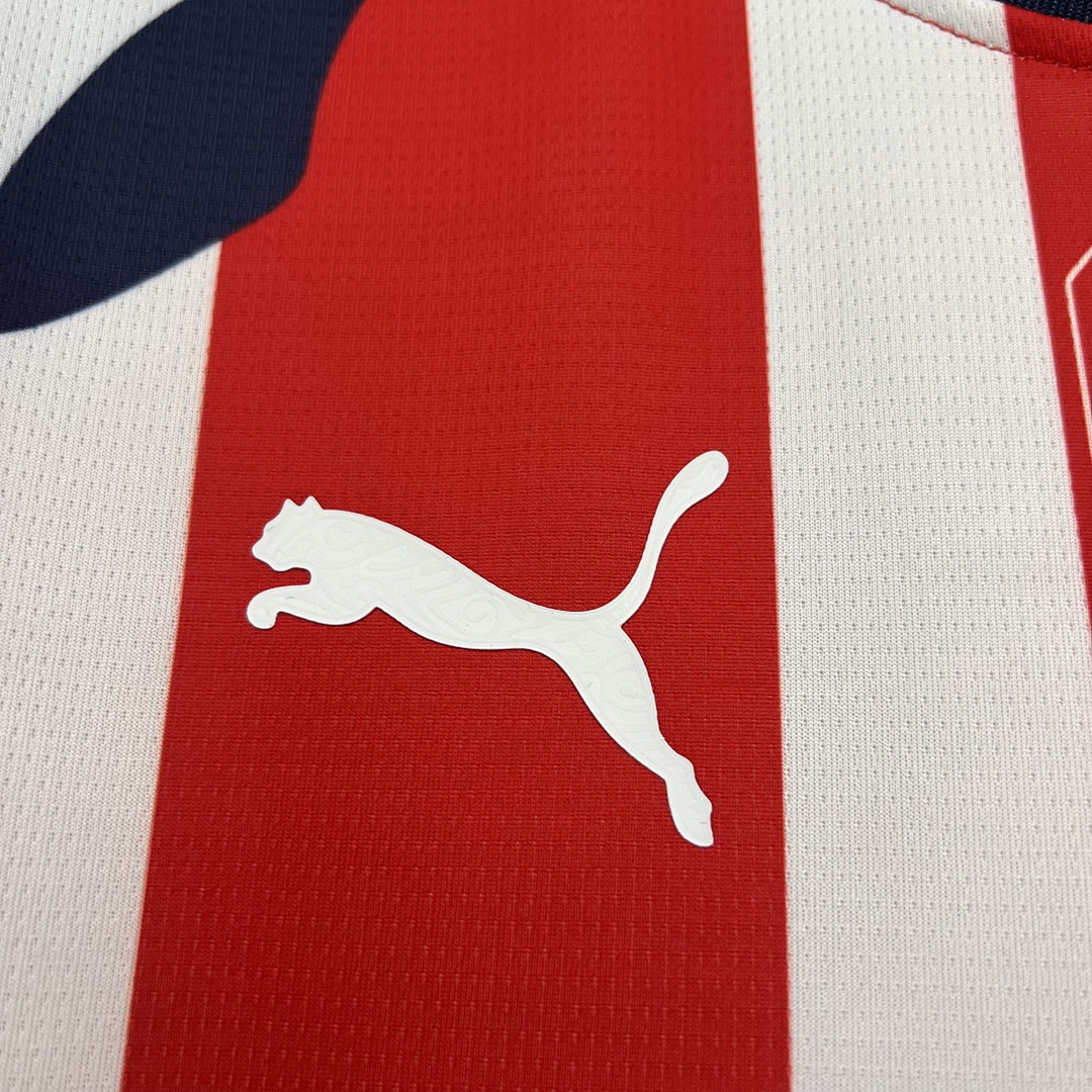 Chivas de Guadalajara 25/26 Home S-4XL 9