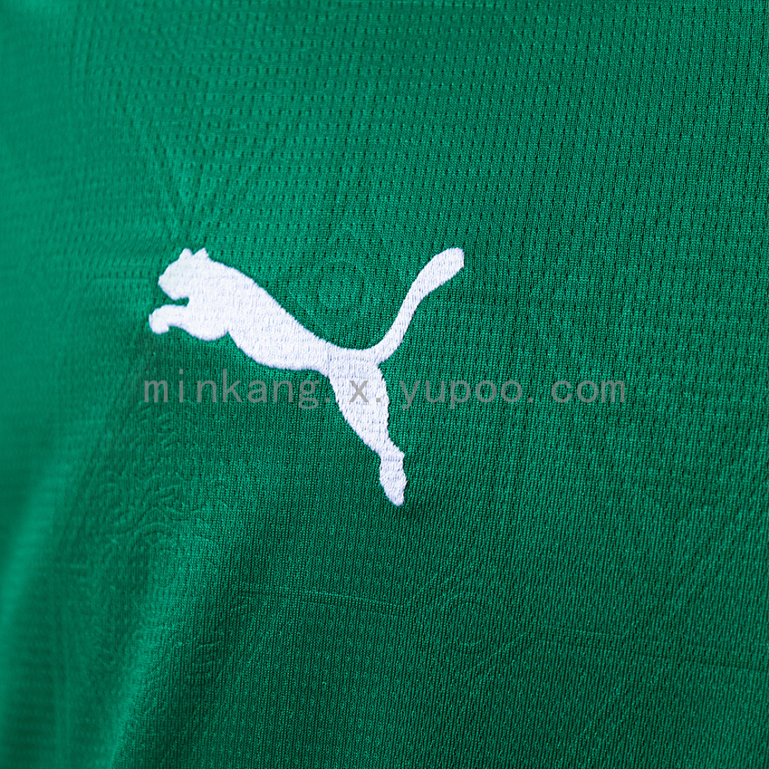 25/26 Palmeiras home All Sponsor S-4XL 3