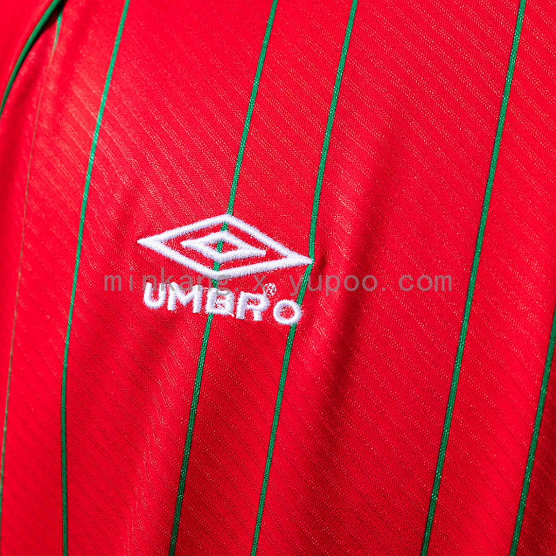 Wales 1994/96 Home Retro Jersey S-XXL 3