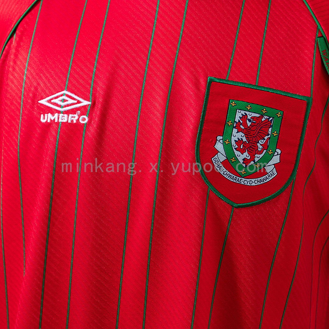 Wales 1994/96 Home Retro Jersey S-XXL 5